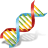 DNA